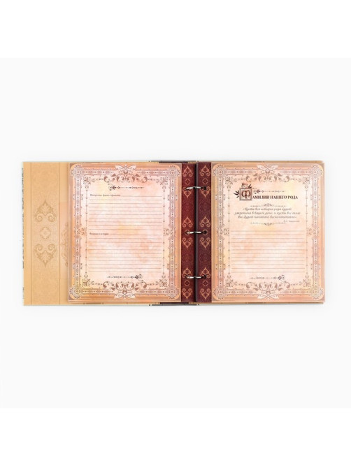 Родословная книга с рамкой под фото «Семейная», 21.5×23.7 см