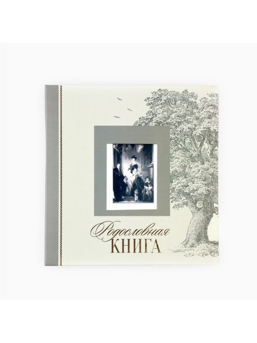 Родословная книга с рамкой под фото «Семейная», 21.5×23.7 см