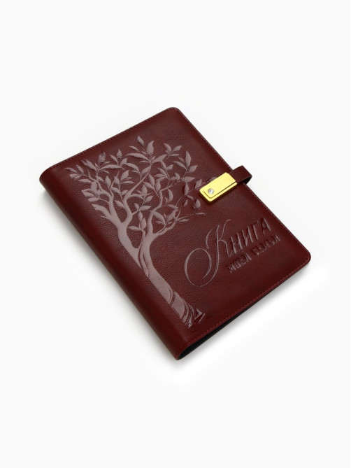 Родословная книга со встроенной флешкой 16 Gb «Книга всей семьи», 17.5×23 см