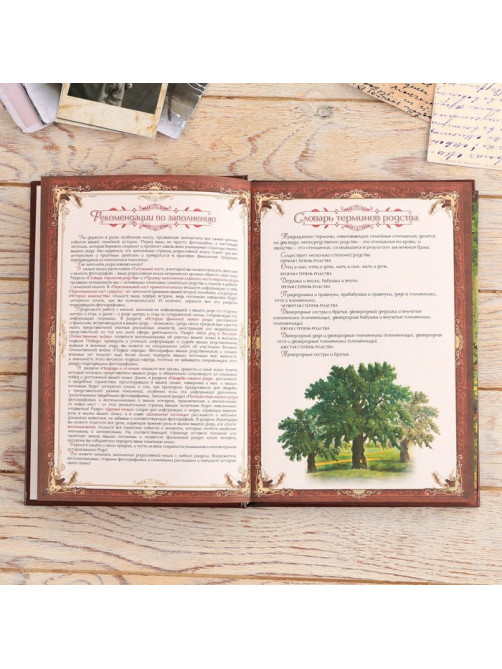 Родословная книга в шкатулке «Древо жизни», 56 листов, 20×26 см