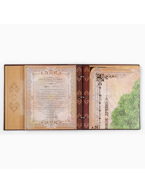 Родословная книга с рамкой под фото «Родословная книга», под дерево, 50 листов, 21.5×23.7 см