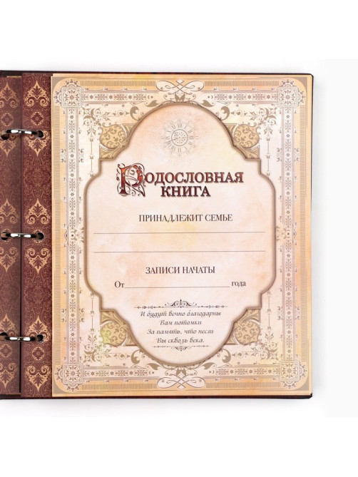 Родословная книга с рамкой под фото «Родословная книга», под дерево, 50 листов, 21.5×23.7 см