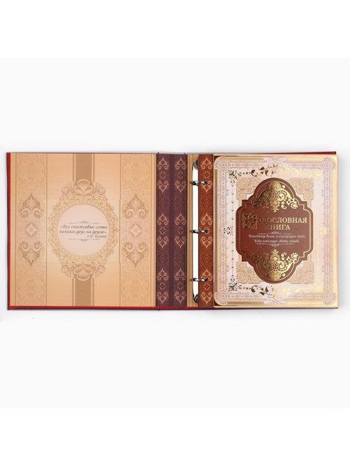 Родословная книга с рамкой под фото «Семейная книга», 50 листов, 21.5×23.7 см