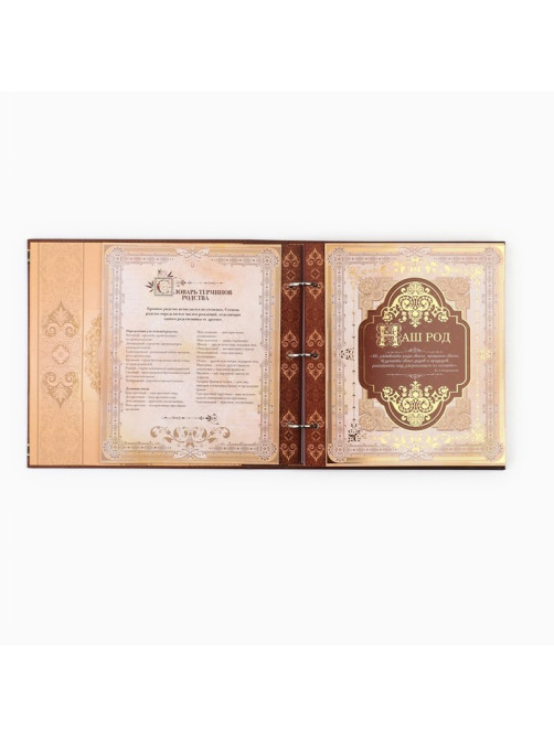 Родословная книга с рамкой под фото «Семейная», 21.5×23.7 см