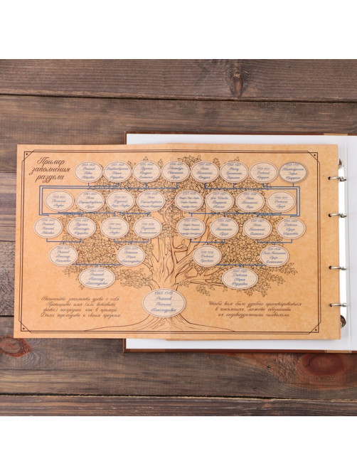 Родословная фото книга «Семейная летопись» с деревянным элементом, 27.5×25 см
