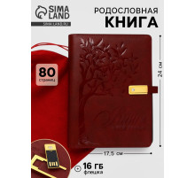 Родословная книга со встроенной флешкой 16 Gb «Книга всей семьи», 17.5×23 см