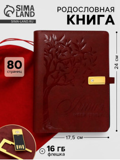 Родословная книга со встроенной флешкой 16 Gb «Книга всей семьи», 17.5×23 см