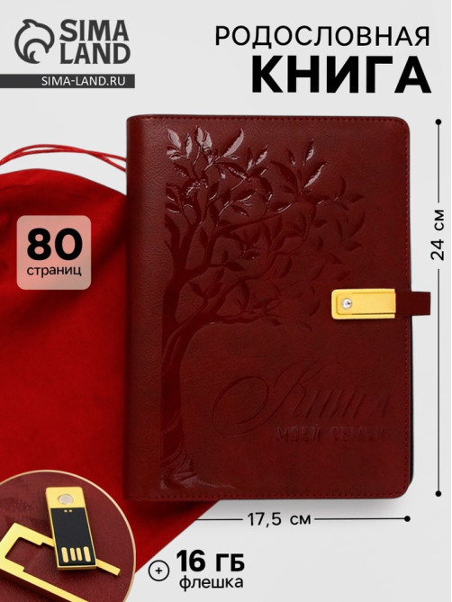Родословная книга со встроенной флешкой 16 Gb «Книга всей семьи», 17.5×23 см
