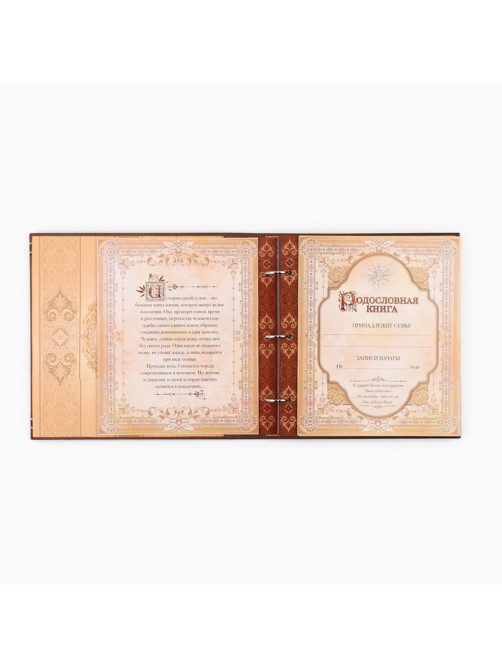 Родословная книга с рамкой под фото «Семейная», 21.5×23.7 см