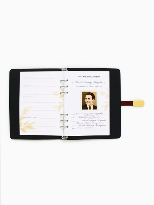 Родословная книга со встроенной флешкой 16 Gb «Книга всей семьи», 17.5×23 см