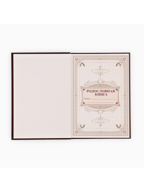 Родословная книга в шкатулке «Древо семьи», 56 листов, 20×26 см