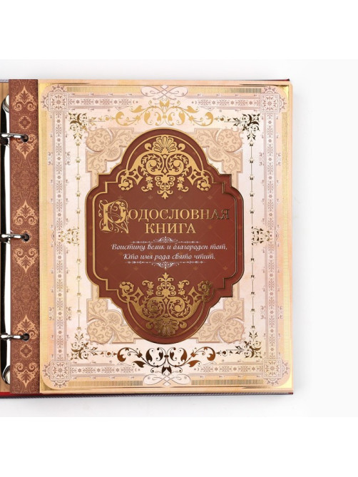 Родословная книга с рамкой под фото «Семейная книга», 50 листов, 21.5×23.7 см