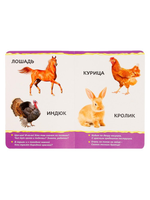 Книжка картонная «Домашние животные» 10 стр., МИКС