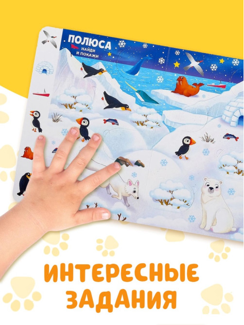 Книга картонная с окошками «Найди, открой, покажи!» 10 стр.