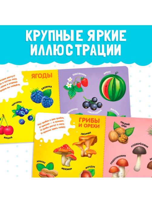 Картонная книга «Фрукты, овощи и не только», 10 стр.