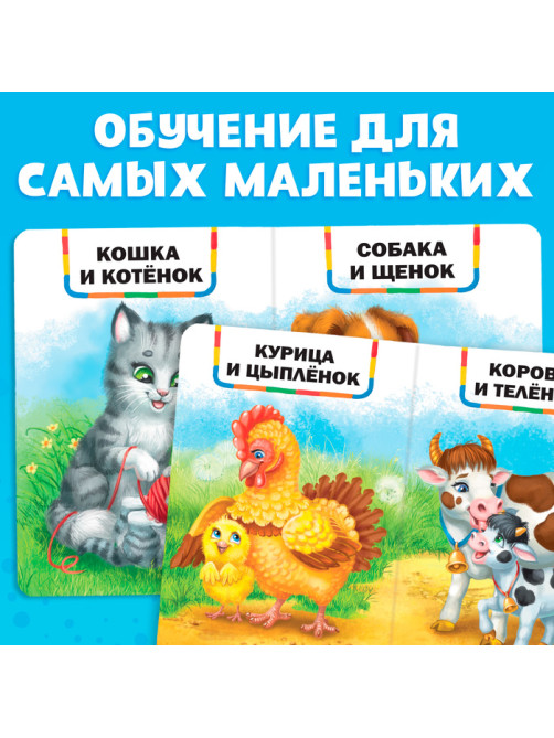 Книга картонная «Мамы и малыши», 10 стр.