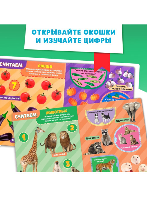 Книжка картонная с окошками «Цифры», 10 стр.