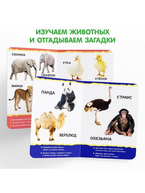 Книги картонные набор «Для малышей» № 1, 4 шт., 10 стр.