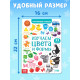 Книга картонная с окошками «Цвета и формы» 10 стр.