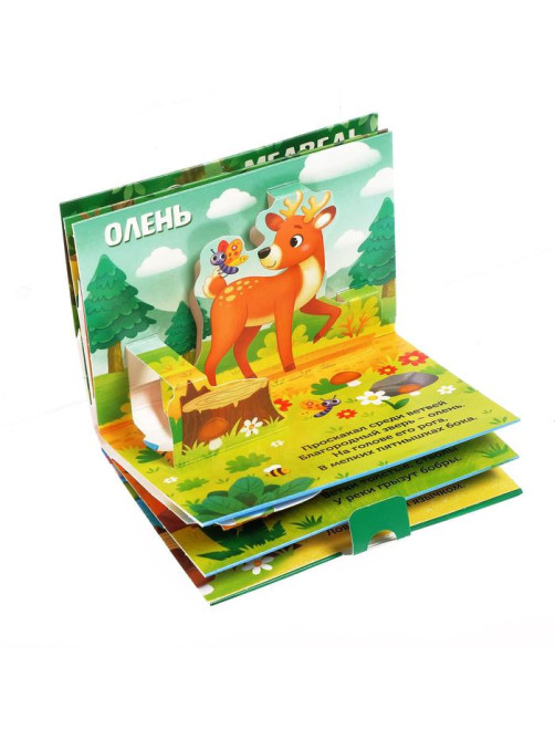 Книжка - панорамка 3D «Кто прячется в лесу?», 12 стр.