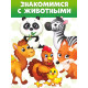 Книги картонные «Животные», набор 4 шт. по 10 стр.