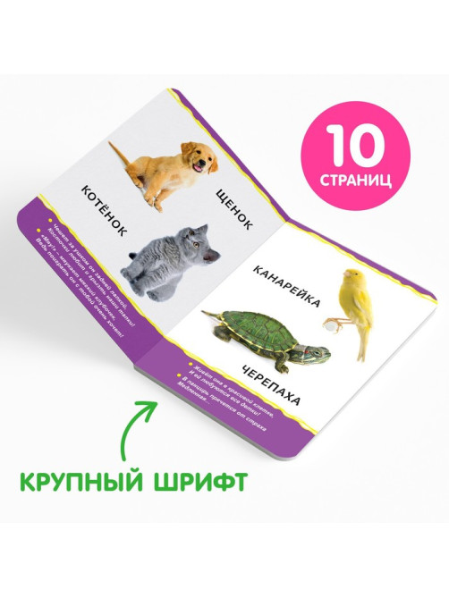 Книги картонные набор «Для малышей» № 1, 4 шт., 10 стр.