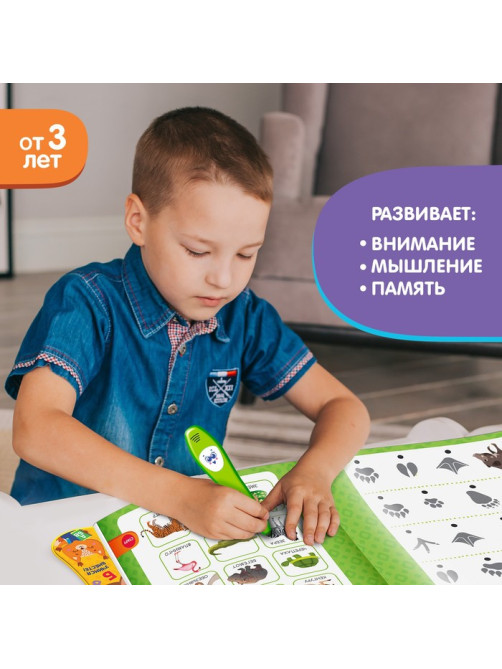 Музыкальная книга «Играю и учусь», с интерактивной ручкой, звук, свет