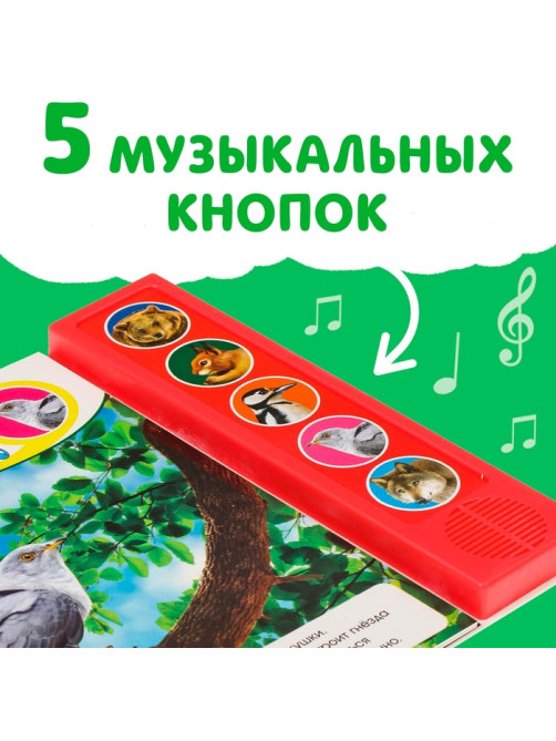 Музыкальная книга «Звуки леса», 5 звуков, 10 стр.
