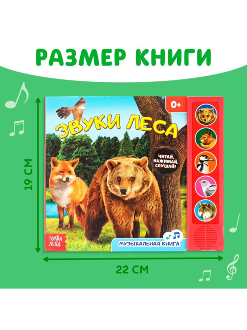 Музыкальная книга «Звуки леса», 5 звуков, 10 стр.