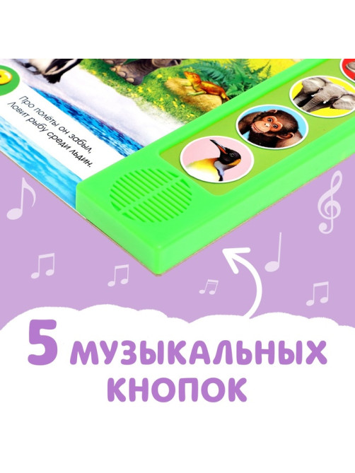 Музыкальная книга «Приходите в зоопарк», 10 стр.