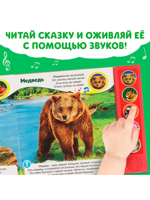 Музыкальная книга «Звуки леса», 5 звуков, 10 стр.
