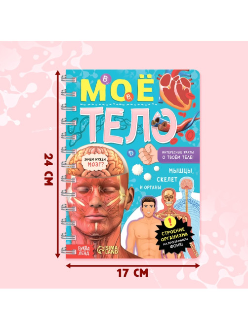 Энциклопедия с прозрачными страницами «Моё тело», 32 стр.