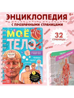 Энциклопедия с прозрачными страницами «Моё тело», 32 стр.