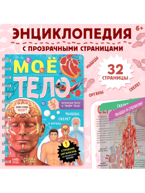Энциклопедия с прозрачными страницами «Моё тело», 32 стр.