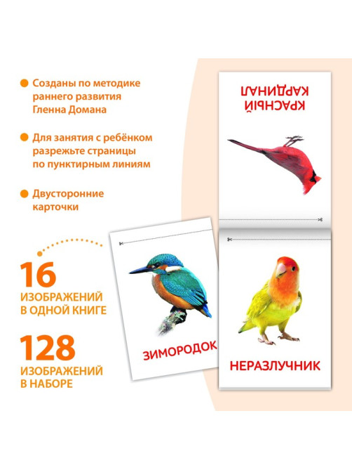 Книги «Карточки Домана. Окружающий мир», набор, 8 шт. по 20 стр.