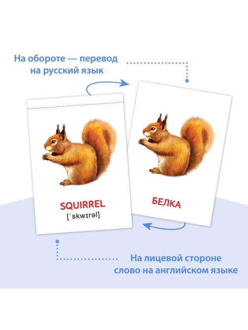 Книги «Карточки Домана на английском языке», набор 8 шт. по 24 стр.