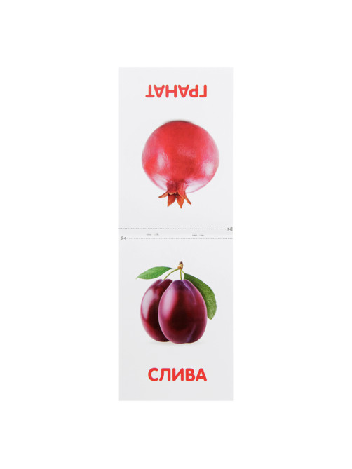 Книжка обучающая по методике Г. Домана «Фрукты», 20 стр.