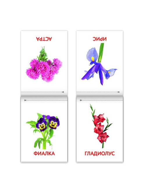 Книги «Карточки Домана. Окружающий мир», набор, 8 шт. по 20 стр.