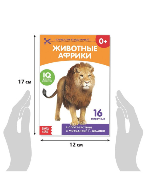 Книги «Карточки Домана на скрепке», набор, 8 шт. по 20 стр.