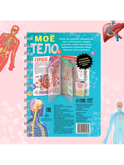 Энциклопедия с прозрачными страницами «Моё тело», 32 стр.