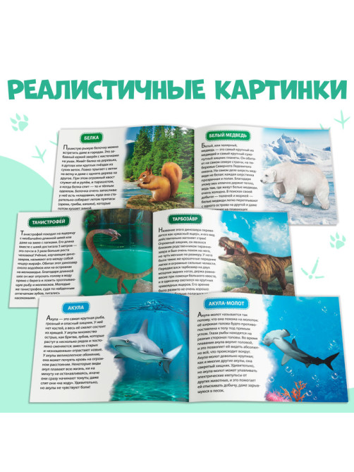 Обучающие книжки набор 6 шт. «Узнаём про всё вокруг», 108 животных и птиц