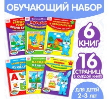 Обучающие книги «Полный годовой курс. Серия от 2 до 3 лет», 6 книг по 16 стр., в папке
