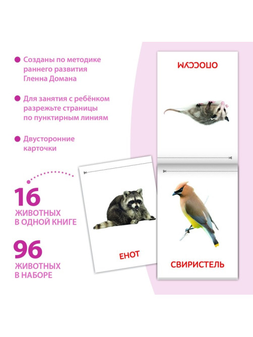 Книги «Карточки Домана. Животные материков», набор 6 шт. по 20 стр.