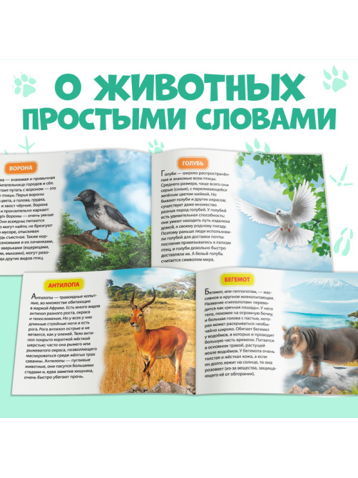 Обучающие книжки набор 6 шт. «Узнаём про всё вокруг», 108 животных и птиц