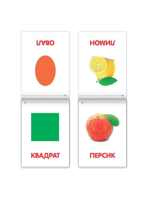 Книги «Карточки Домана на скрепке», набор, 8 шт. по 20 стр.