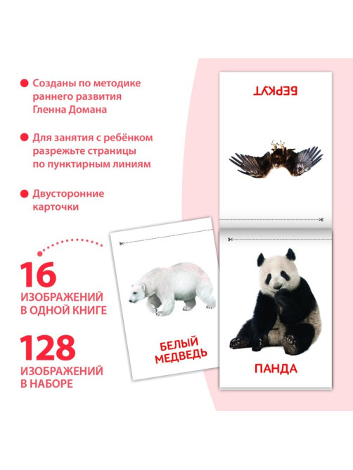 Книги «Карточки Домана. Узнаём мир», набор, 8 шт. по 20 стр.