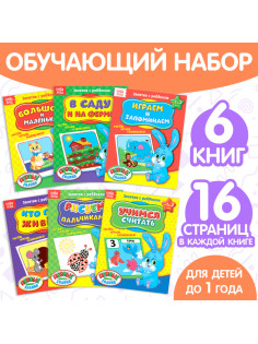 Обучающие книги «Полный годовой курс. Серия от 0 до 1 года», 6 книг по 16 стр., в папке