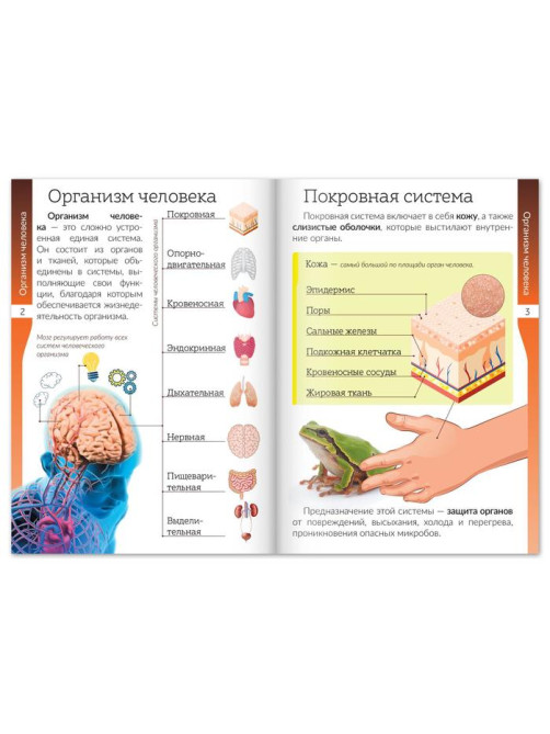 Книжки - шпаргалки «Мир природы и человека», набор 6 шт.
