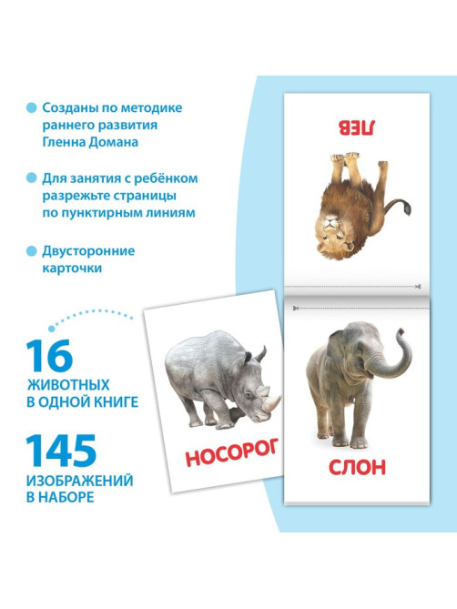 Книги «Карточки Домана на скрепке», набор, 8 шт. по 20 стр.