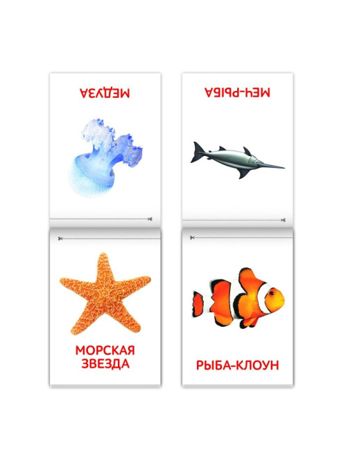 Книги «Карточки Домана. Окружающий мир», набор, 8 шт. по 20 стр.
